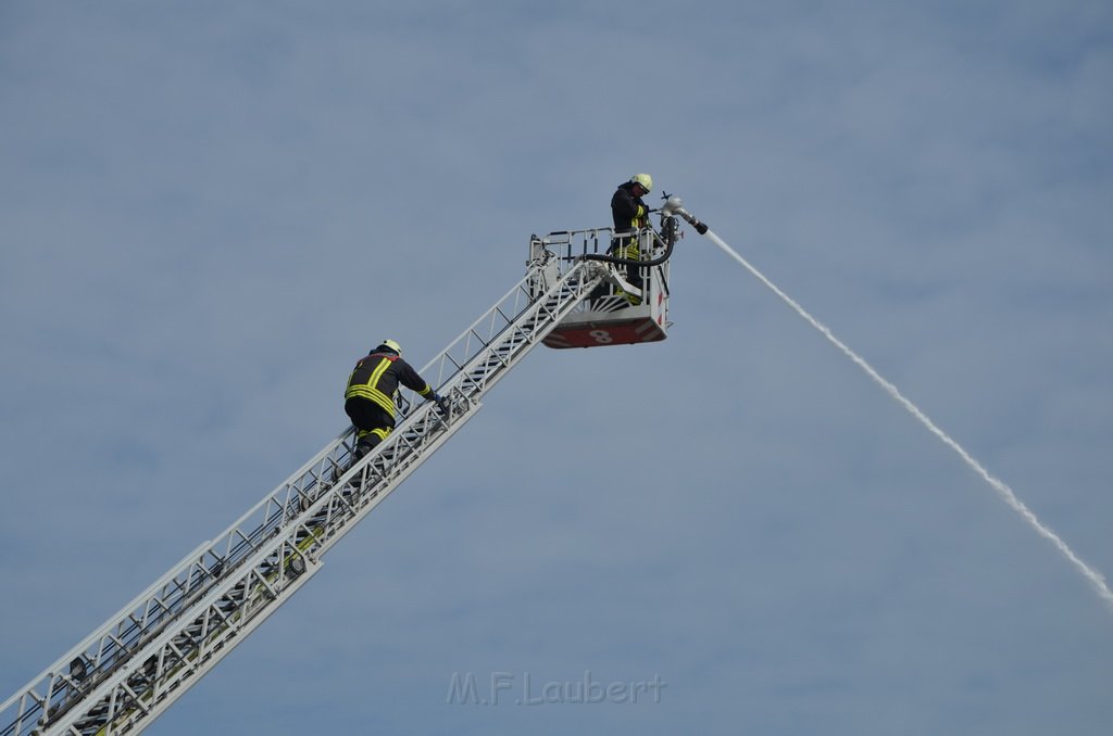 Grossfeuer Poco Lager Koeln Porz Gremberghoven Hansestr P831.jpg - Miklos Laubert